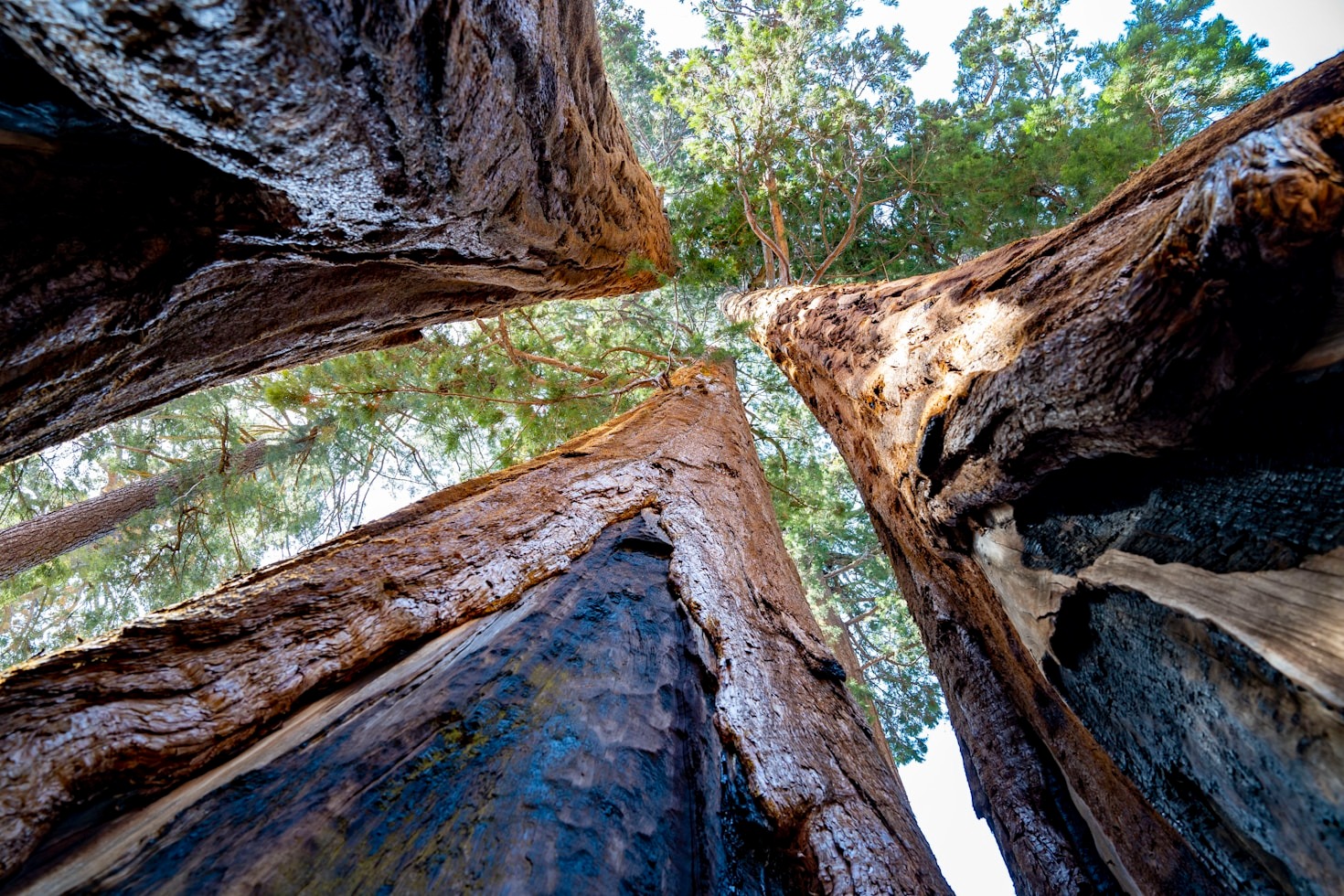 Building Resilience Without Losing Sensitivity