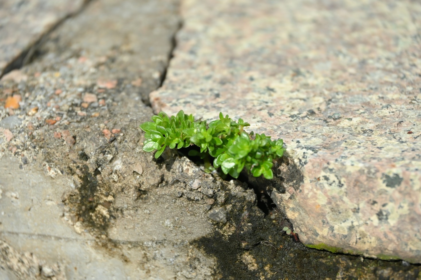 Lessons on Duality from the Vílám Perspective