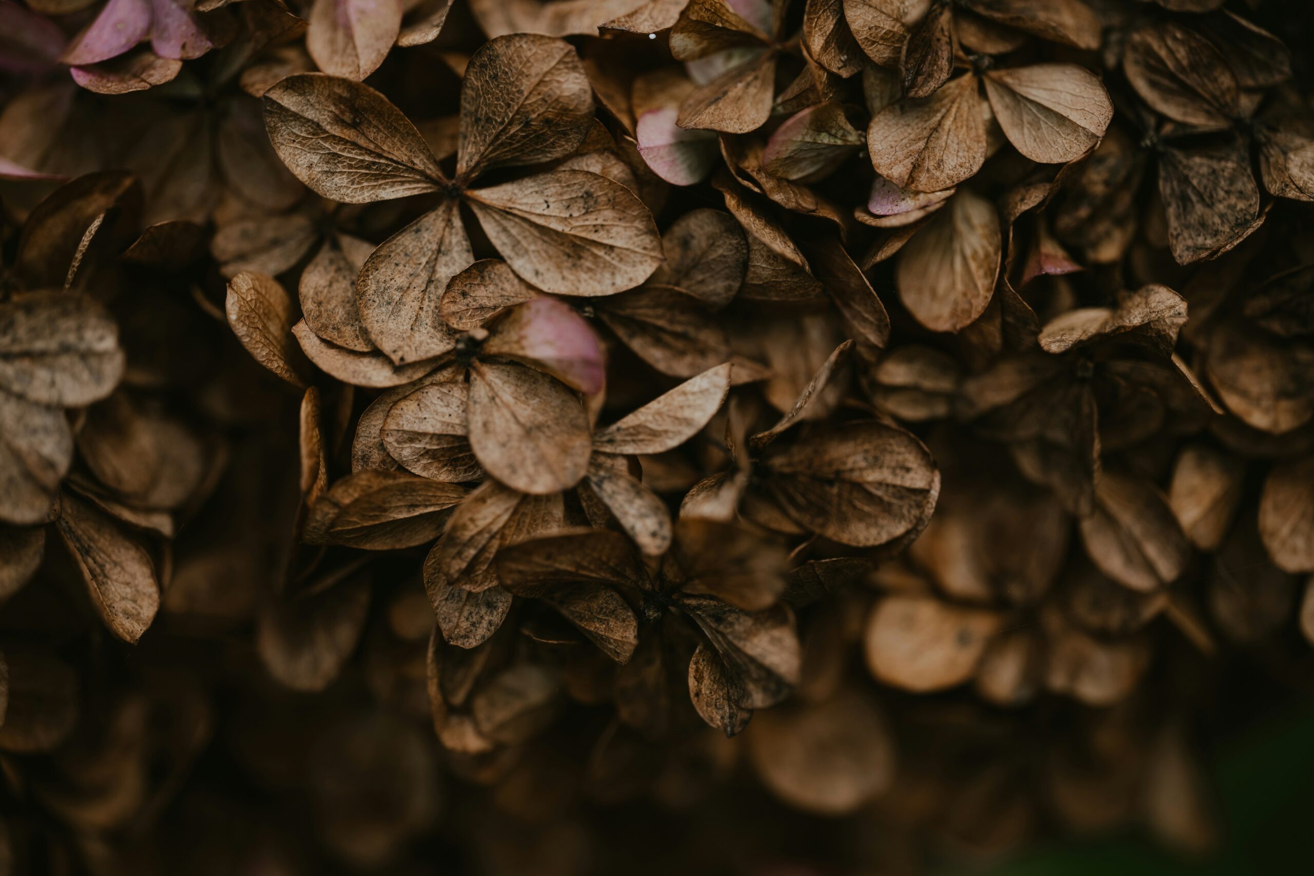 Hello World Featured Image