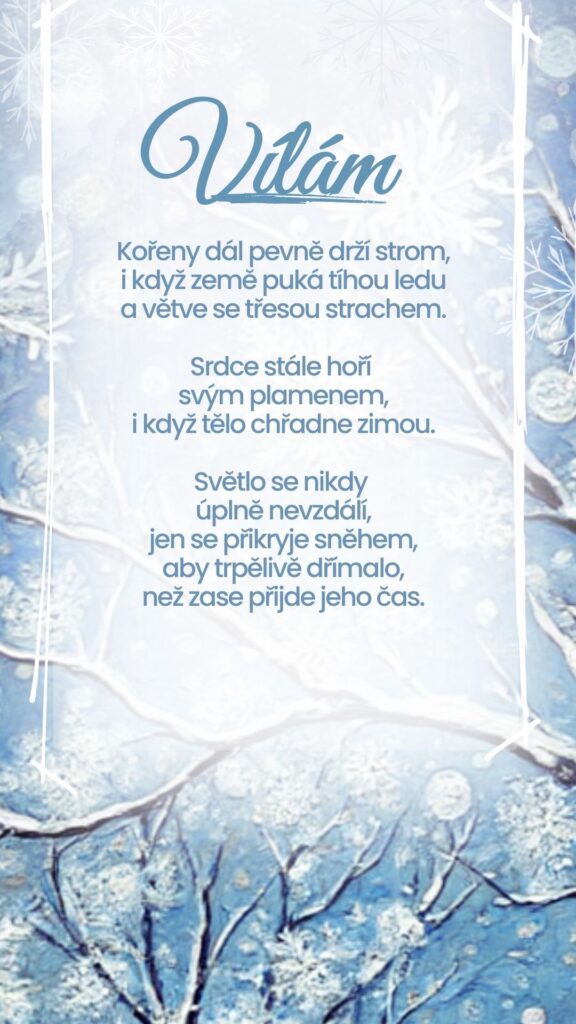 zima vílám, sníh, mráz, povzbuzení