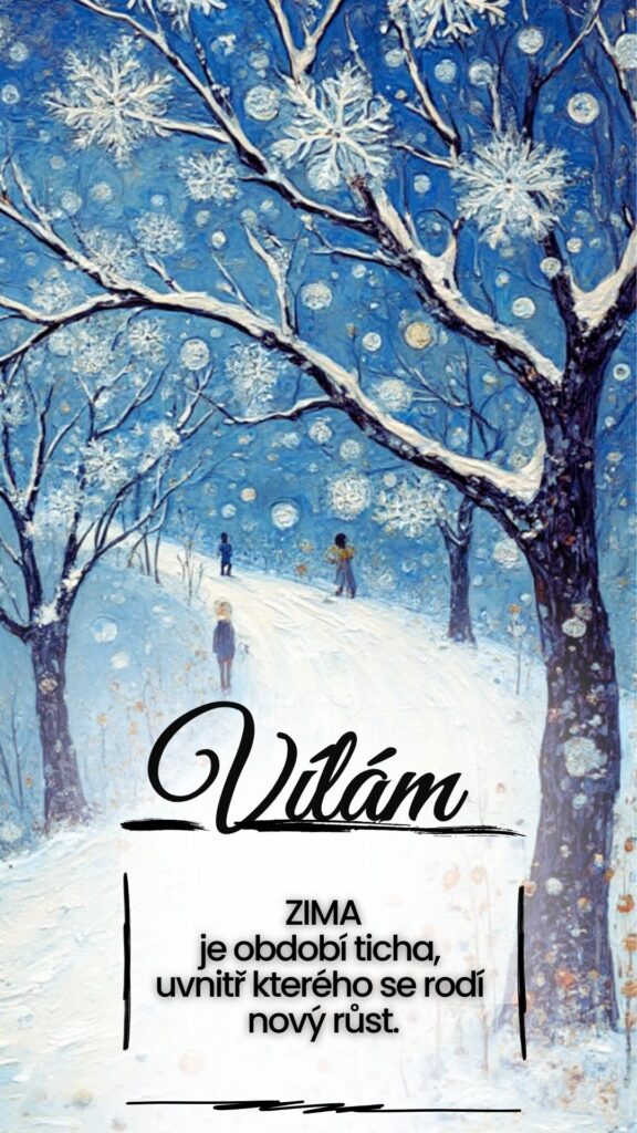 zima vílám, sníh, mráz, povzbuzení