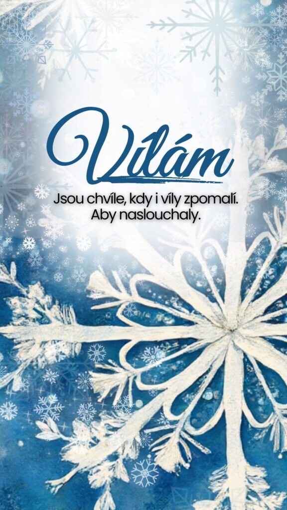 zima vílám, sníh, mráz, povzbuzení